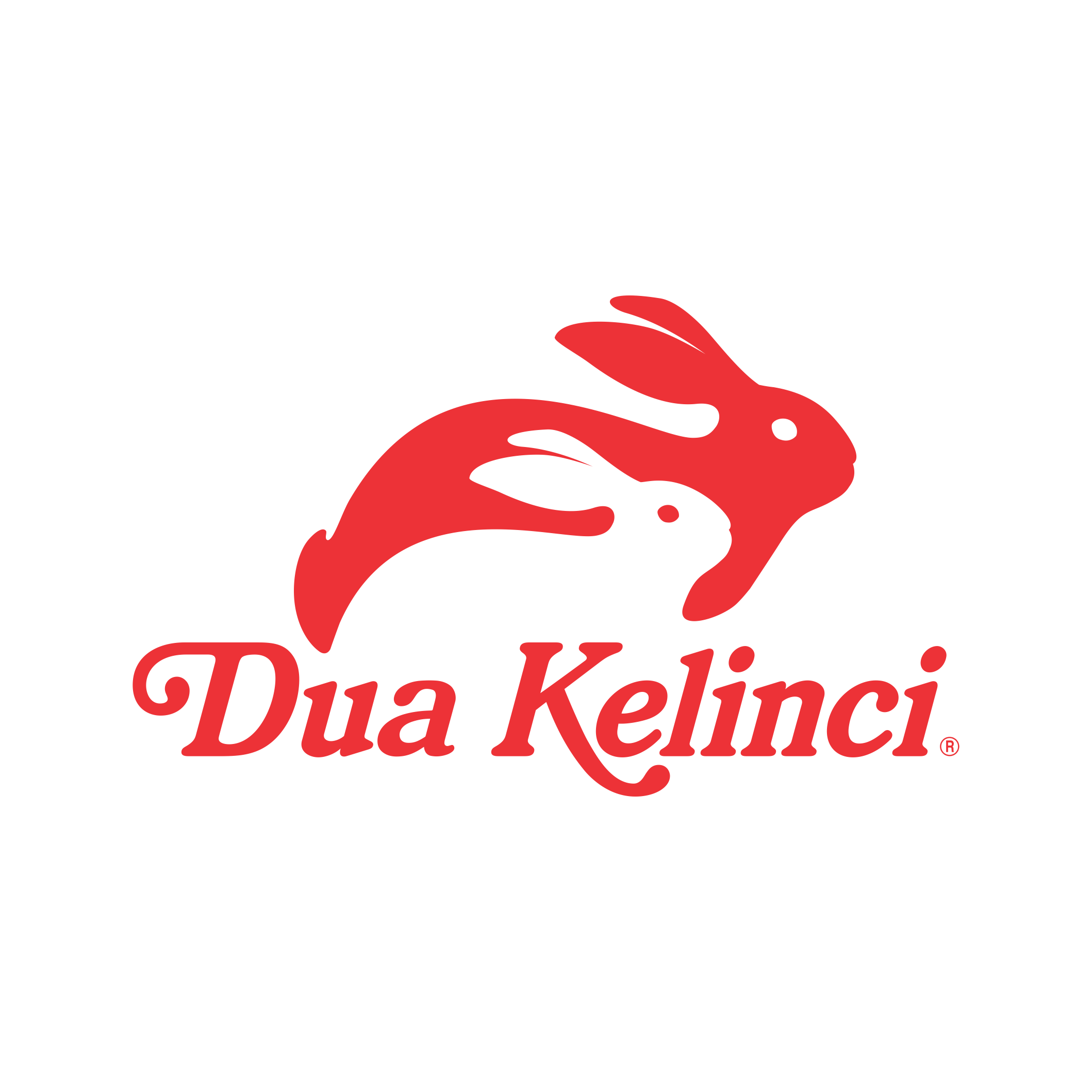 Logo PT Dua Kelinci